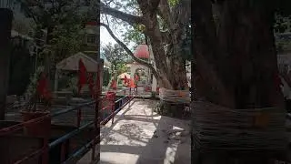 machyaal#mndir# devbhoomi#himachal