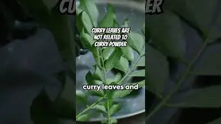 Curry Leaves are Not Related to Curry Powder