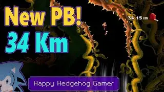 New PB! 34 Km - Never Ending Pit - Rayman Legends