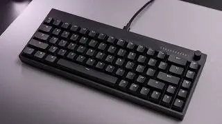Wallhack K-001 | Is It Worth It?