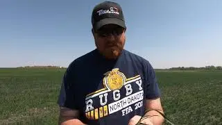 How to Determine Plant Population in Wheat