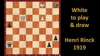 White to play and draw | The perpetual queen | Position of the day