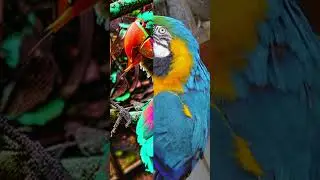 SATISFYING AI TRANSFORMATION 7.7 😍 || #satisfying #transformation #viral #shorts