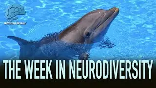 How Dolphin Therapy Is Helping Kids With Special Needs &ndash; W.I.N.