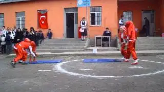 yeşil ördek