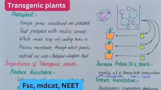 Transgenic plants | production of transgenic plants | class 12