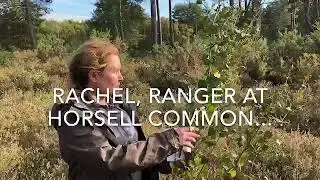 Community Action Day with TVision Technology at Horsell Common