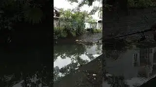 Hobby  Memancing