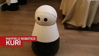 Meet Kuri &mdash; an adorable wandering security cam