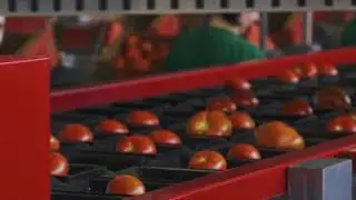 AWETA | Tomato grading machine