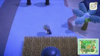 STREAMING NOW!!! Animal Crossing: New Horizons [Switch 2 Edition] - Part 26 - 3.0 Update (Stream)