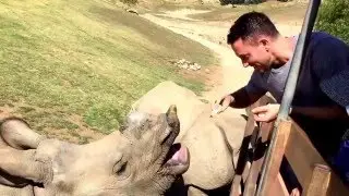 Behind the scenes tour at San Diego Wild Animal Park.