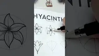 How I draw HYACINTH flowers