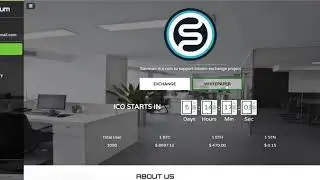STENEUM COIN ICO REVIEW