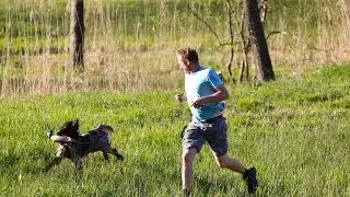 Dog Training Classes Puppy School near me Burlington VT, Boston MA, Cheyenne WY