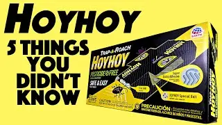 5 Things You Didn't Know about HoyHoy Roach Traps