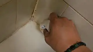 ACTIVE Mold Stain Remover