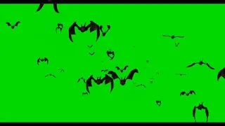 Beware: Flying bat green screen magic video for kinemaster 2024