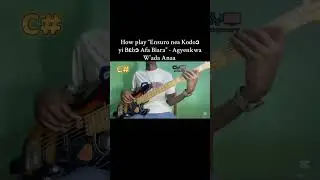 How to play the famous Ghanaian Gosple Reggae Song &ldquo;Agyenkwa W&rsquo;ada Anaa&rdquo; #reggae