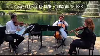 Difference between a solo violin, string duo, string trio and string quartet ~ Columbus Musicians