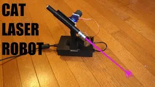 I built a robot that plays with cats