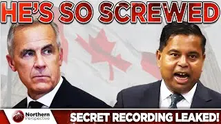 Liberal Minister BLINDSINDED By Secret Recording! ADMITS The REAL REASON For Gun Buyback!