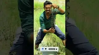 Easy யா விரால் மீன் பிடிக்கலாம் | Viral Meen Trap | #Shorts Creative Experiment
