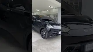 BYD SEAGULL EV 2025