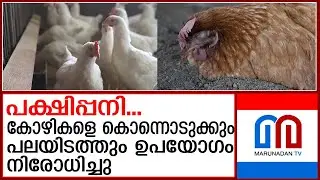 ആലപ്പുഴയില്&zwj; നാല് പഞ്ചായത്തുകളില്&zwj; പക്ഷിപ്പനി സ്ഥിരീകരിച്ചു | Bird flu confirmed in Alappuzha