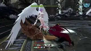 Laura duo - Vindictus