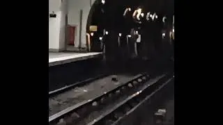 Petit klaxon d'un MF01