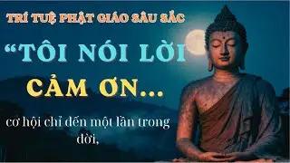 Nói Lời Cảm Ơn: Bài Học Tỉnh Thức Trước Khi Quá Muộn 🌿 | Tâm An