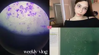 vlog of my week