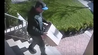 Package theft allegedly caught on camera