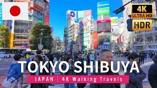 4K JAPAN WALK 🇯🇵 Tokyo Shibuya Winter Walking Tour | December 2024