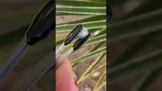 W6435-sapphire-rwanda-2.44-ct-sugarloaf-cabochon-ravenstein