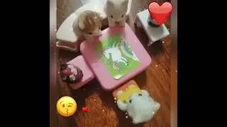 День в детском саду!!! ❤️