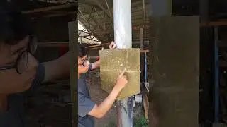 Mengetes Perisai Kertas Senku