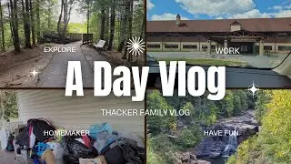 Mom Working Outside the Home | Homemaker | Fighting Flea Infestation | Our Journey to Get Rid of It