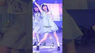 Les types de Fancams #kpop #jxst_hyunmi FOR SURE(my bad)