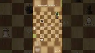 The rook !! #trending #chess #viral