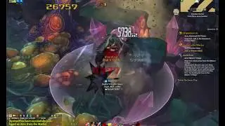 [TOS] Fight Irredian boss without decent gear