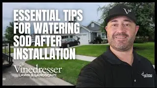 Essential Tips for Watering Sod After Installation