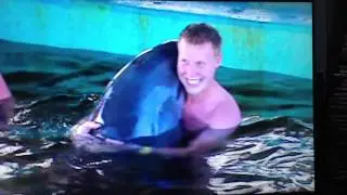 Dolphin Fear