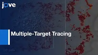 Mapping Molecular Diffusion In Plasma Membrane By Multiple-Target Tracing (MTT) l Protocol Preview