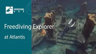UAE National Day freedive at The Lost Chambers Aquarium in Atlantis Dubai