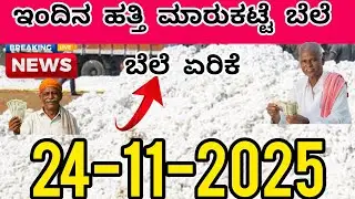 24-11-2025 l ಹತ್ತಿ ಬೆಲೆಗಳ ವಿವರಣೆ l Today Cotton Rates #cottonratetoday#cottonrate #cottonratestoday