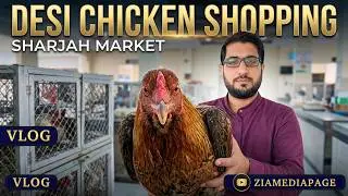 How To Buy Desi Chicken In Dubai | Shopping Vlog | Zia Ul Haq | @ziamediapage