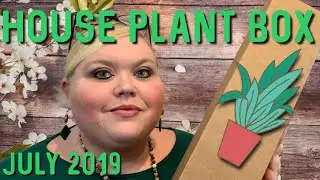 *NEW* House Plant Box | July 2019
