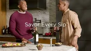 Vacuum Wine Pump & Stoppers